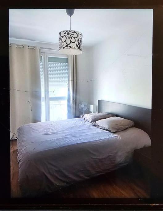 Chez Pascal Sissi -Grand Appart,Ile Nantes, Ccgres Εξωτερικό φωτογραφία